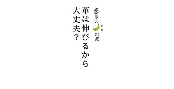 革は伸びるから大丈夫？