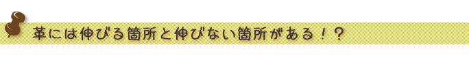 革には伸びる箇所と伸びない箇所がある！？