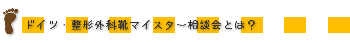 “デザイン＋履き心地を合わせたアートシューズ